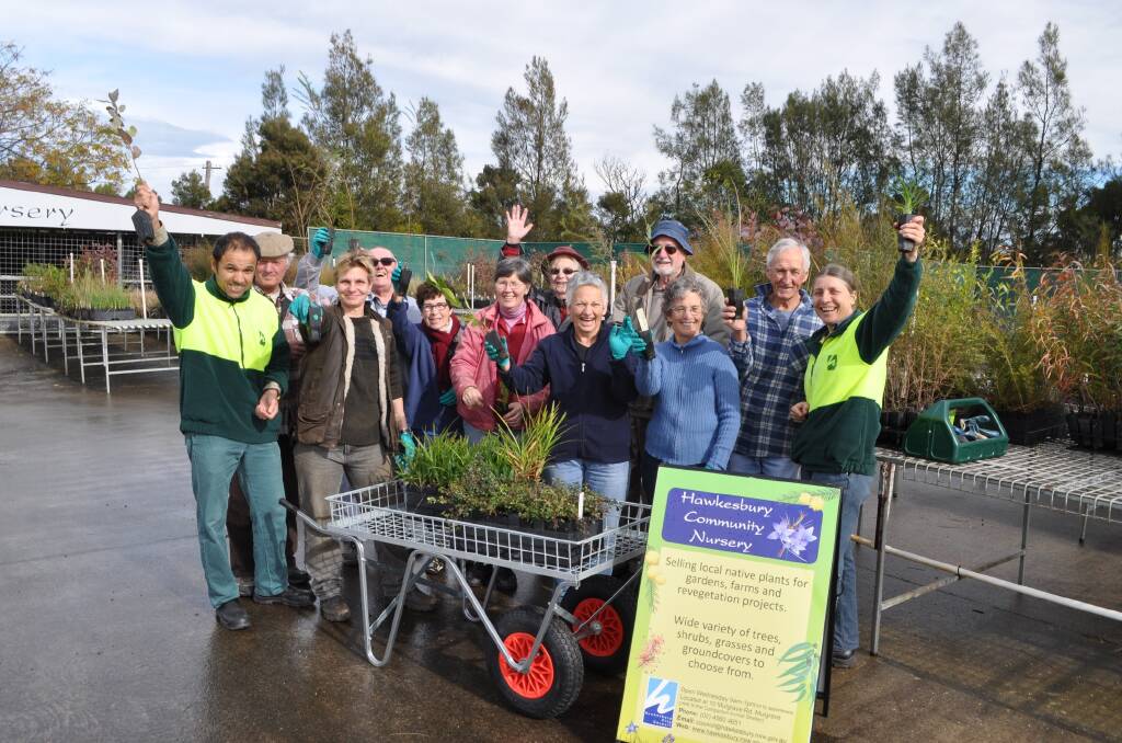 Hawkesbury Community Nursery volunteers with some of the plants they bring up for planting in the Hawkesbury.
