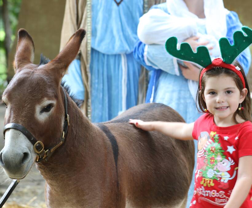Alyrah Micallef says hello to the donkey in the living nativity scene.