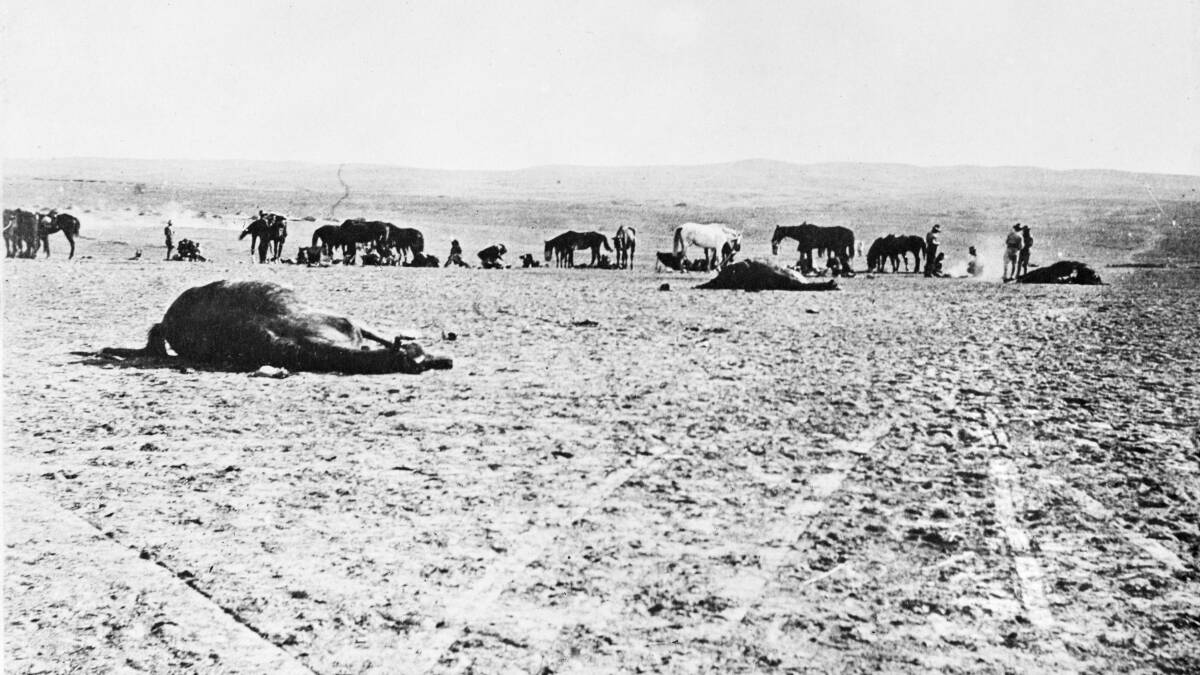  Dead horses lie on the ground near a line of soldiers and other horses after the Battle of Beersheba. (AAP Image/ Australian War Memorial) 