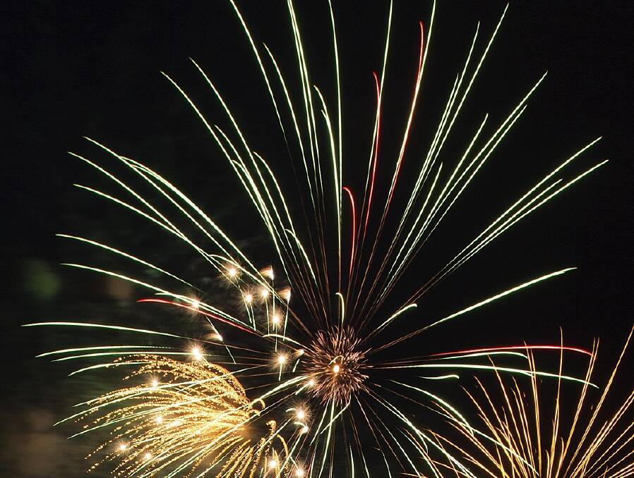 BANG: Fireworks can cause blind terror in livestock, pets and wildlife.