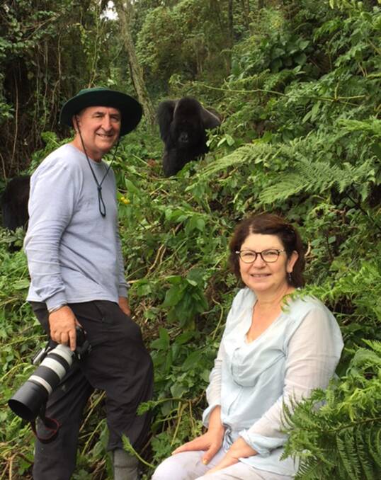 Donovan and Julie Callaghan of Freemans Reach, with gorilla, in Rwanda on January 3.
