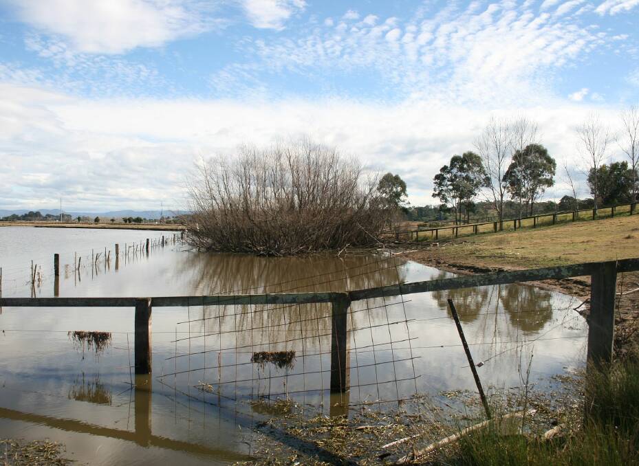 Be part of the movement which saves our western Sydney wetlands from encroaching development.