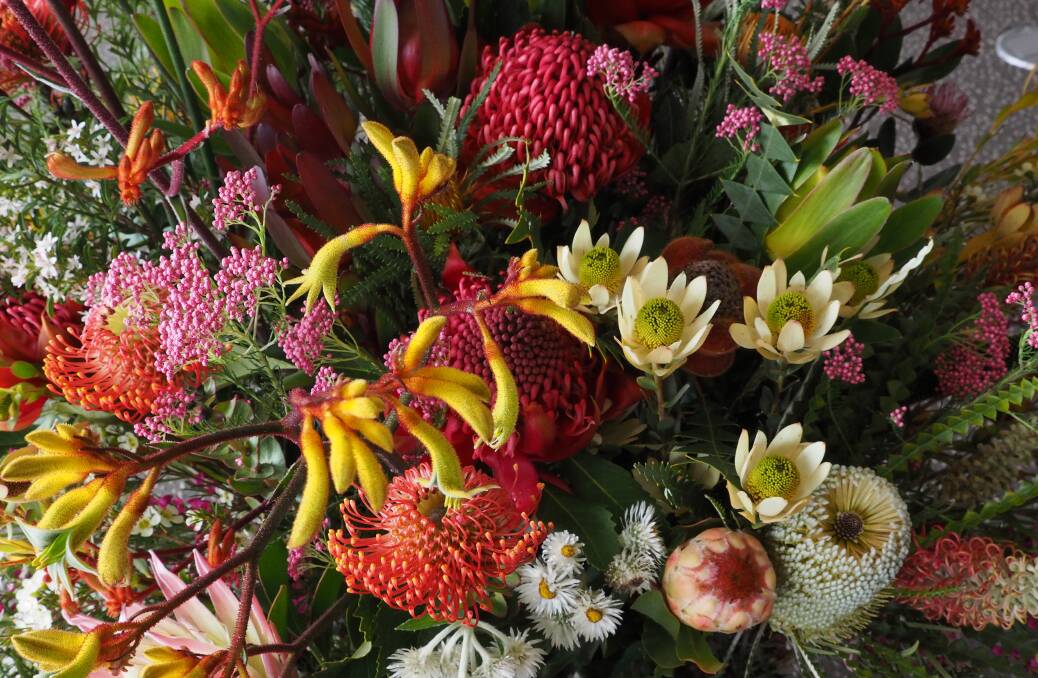 Waratahs are used in stunning arrangements in the Visitor Centre.