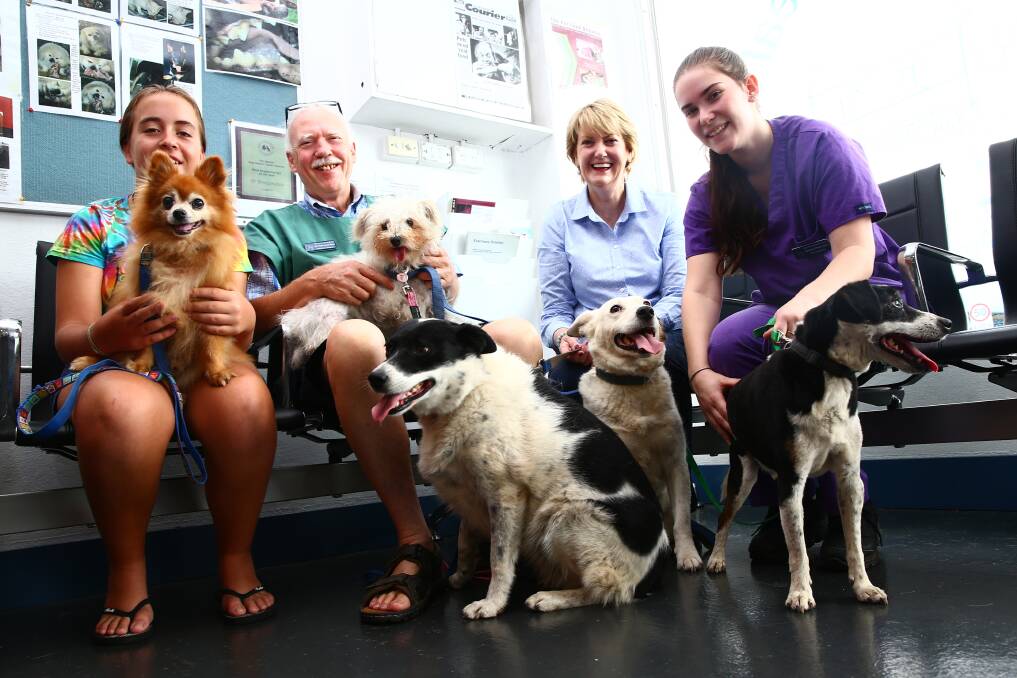 Vet Tom Lonsdale at his Richmond surgery with Katie and Cookie, Tom with Sharlee, Maureen with Kouta and Molly and Vet nurse Bianca Paterson with Oscar. Picture: Geoff Jones