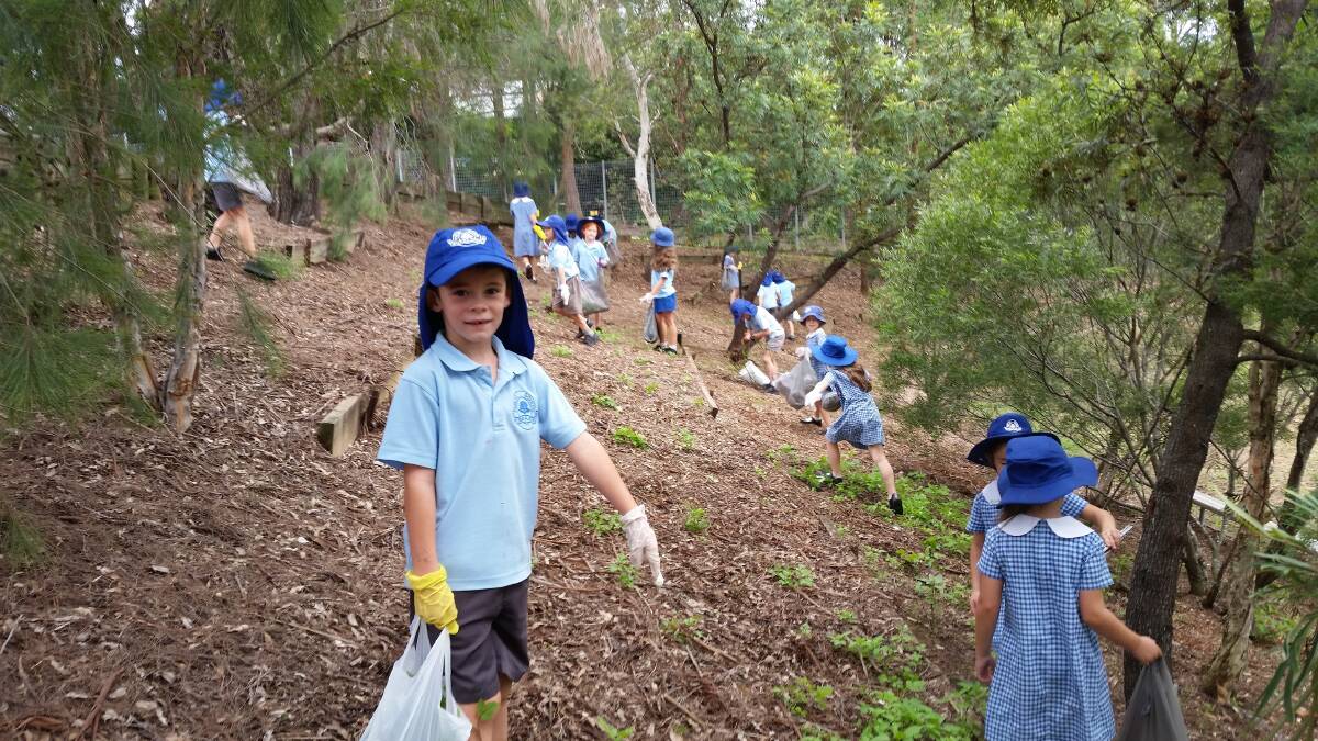 CLEAN KIDS: Kurrajong Public School, Mrs Cormack's Year 4 class at the 2017 Clean Up Australia Day.