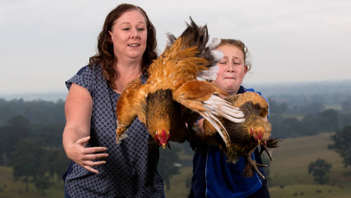 FAMILY: Michelle Davids and her daughter Molly with their prize-winning chook Griffen (R) and her boyfriend Rover the rooster. Picture: Geoff Jones