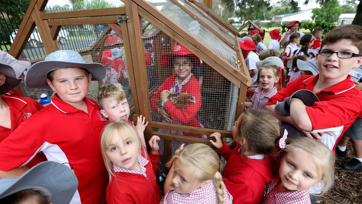 HANDS-ON: The chicken coop is the newest addition in the school's plan to offer more outdoor learning opportunities for students. Picture: Geoff Jones