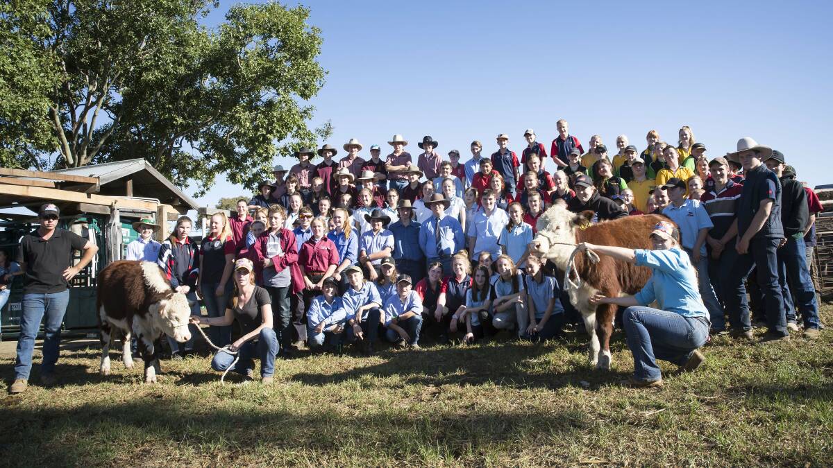 CHALLENGE: Various local schools are taking part in the competition, which challenges both individuals and groups of students to raise a steer for 100 days.