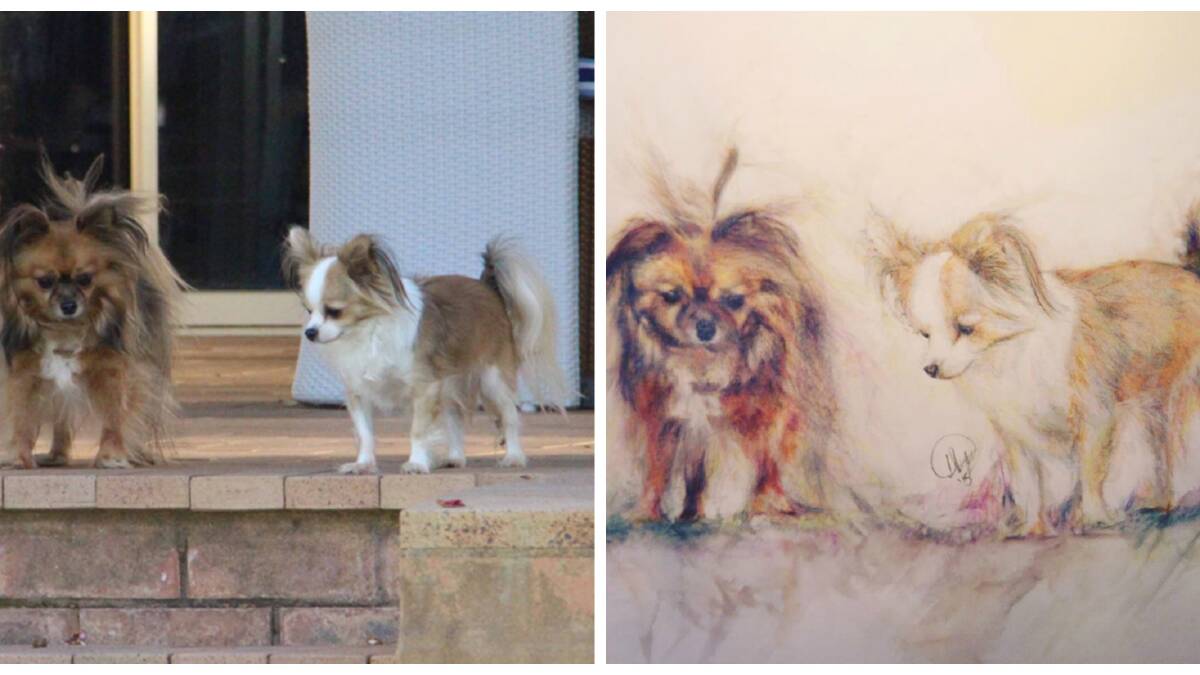 ART PUPS: A supplied photograph (left) and Ms Hyett's version.