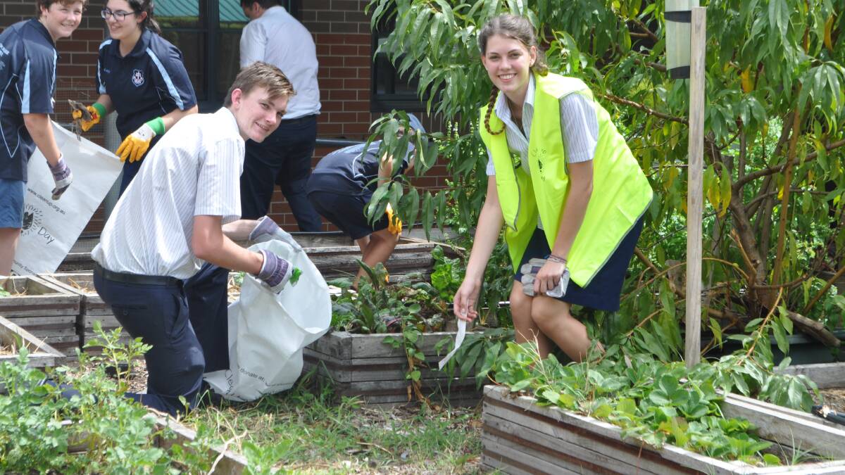 CHIPPING IN: Bede Polding students picking up litter for Clean Up Australia Day.