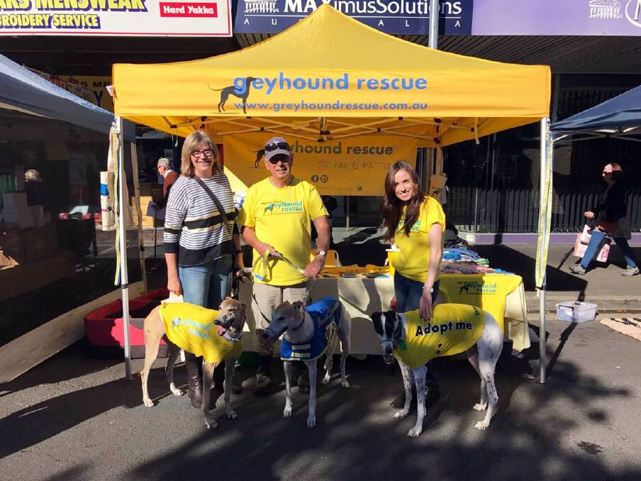 Charity co-founder Peter Flann with two volunteers at a Greyhound Rescue market stall. Picture: Supplied