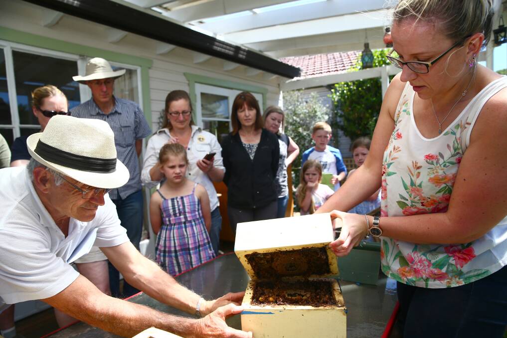 Bee expert Dr Jenny Shanks (floral top) splits a native stingless bee hive for the Hawkesbury Beekeepers club at Richmond. Pictures: Geoff Jones