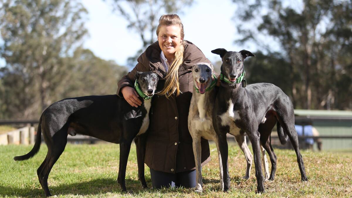 Verity Shiner with her three rescue greyhounds, Thunder Lee (white all the way up under chin), Mac (blue) and Crouton, at their Freemans Reach home. (Fourth dog in some pictures is Friday.) Pictures: Geoff Jones