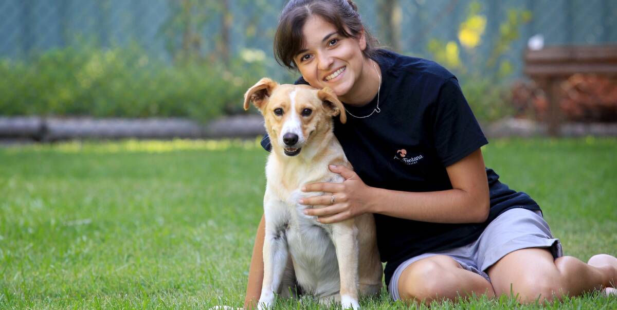 PUPPY LOVE: Allira Fontana and her furry four legged friend Archie. Ms Fontana rescued the Kelpie cross from the Hawkesbury Companion Animal Shelter in January 2016. Picture: Isabella Lettini