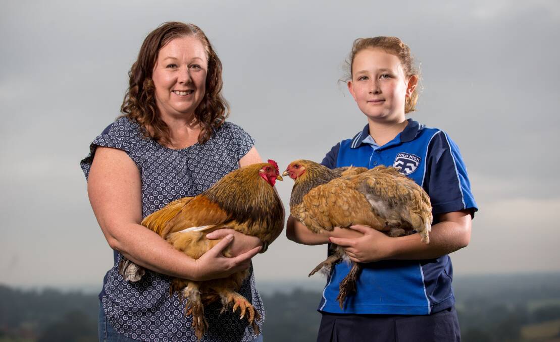 Winners: Michelle and Molly Davids with their 2017 prize-winning yard chook Griffen (right) and her boyfriend, Rover the rooster. Picture: Geoff Jones