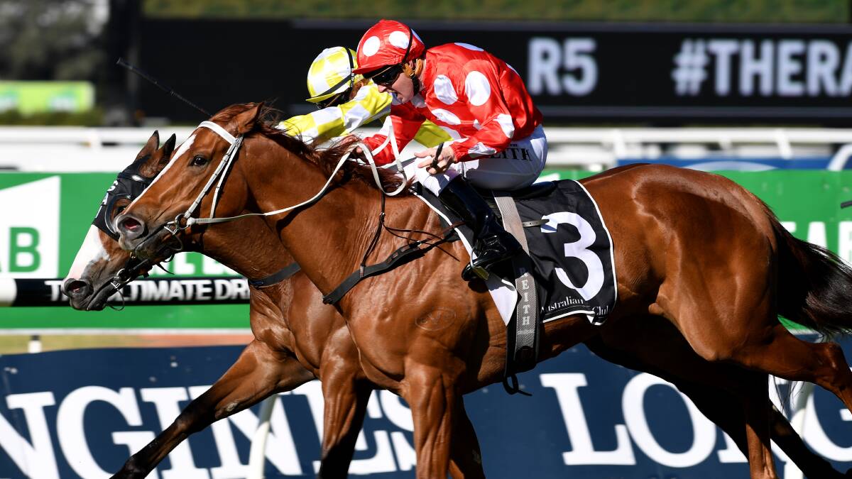IN FRONT: Jockey Christian Reith rides Brad Widdup's Suspenders to victory at Rosehill Gardens on Saturday, July 29. Picture: AAP Images