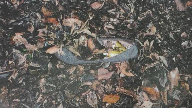 A police crime scene photo showing a shoe, near where a woman was allegedly sexually assaulted at St John's College. Photo: Supplied