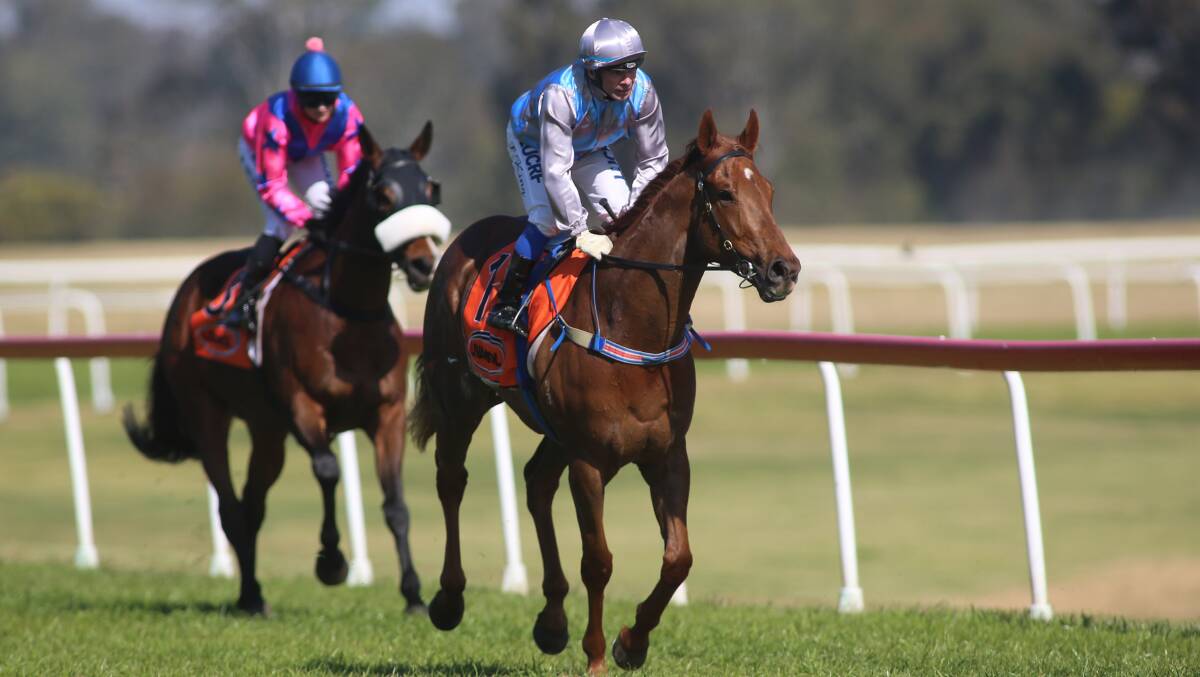 Hawkesbury Race Club will host a charity race day for Pink Finss on September 21. Picture: Geoff Jones