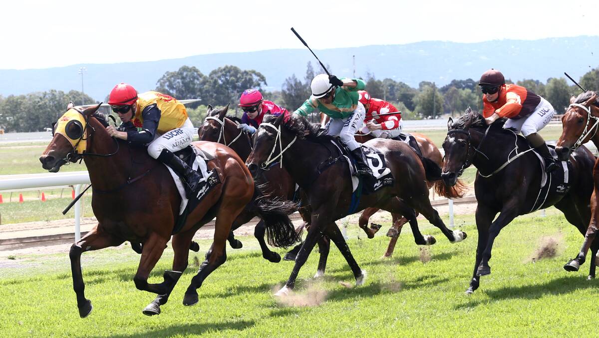 Mitch Newman's Final Impulse is ridden to victory at Hawkesbury Ladies Day. Picture: Geoff Jones