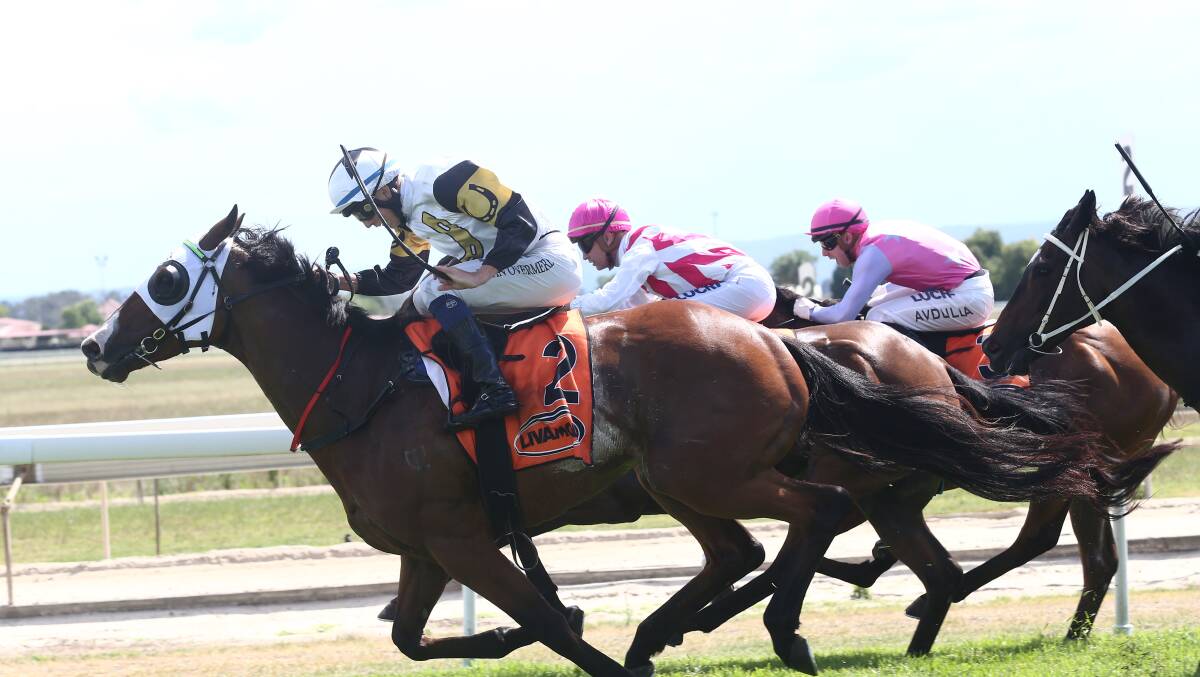 Jason Attard's Hinchman leads race four at the Hawkesbury Race Club before eventually being pipped by Kim Waugh's Mo The Great on November 23. Picture: Geoff Jones 