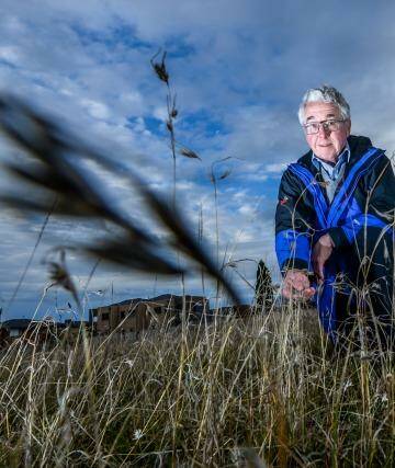Ecologist Mark McDonnell has warned that Melbourne is at risk of losing more than half its native plants species in the next century. Photo: Justin McManus