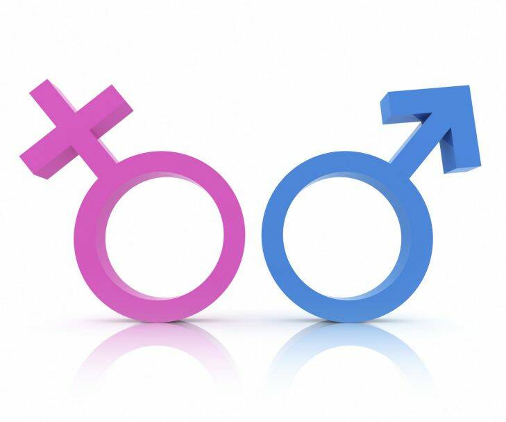 Gender Symbols

female / male symbols
pink / blue