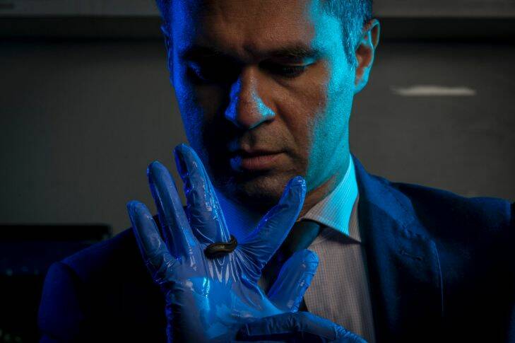 4/10/17 Micro surgeon and researcher Dr Ramin Shayan with leeches used for micro surgery at St Vincents Hospital, Melbourne. Photograph by Chris Hopkins