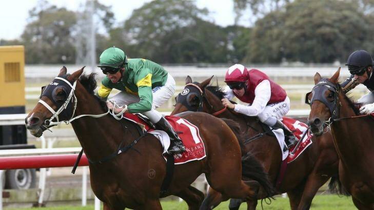 Can't stop winning: Trainer Chris Waller scored again when Moriarty won the Eagle Farm Cup on Saturday. Photo: Tertius Pickard