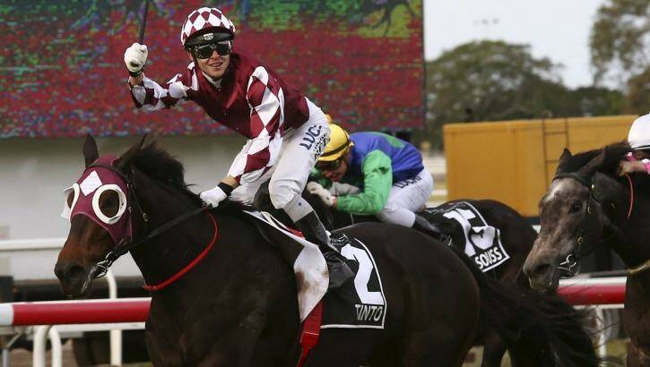 Diamond day: Tim Bell celebrates his Queensland Oaks triumph on Tinto in May. Photo: Tertius Pickard