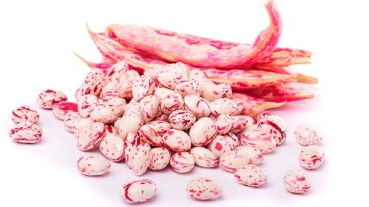 Borlotti beans don't keep their colour when cooked. Photo: featurepics@fairfaxmedia.com.au