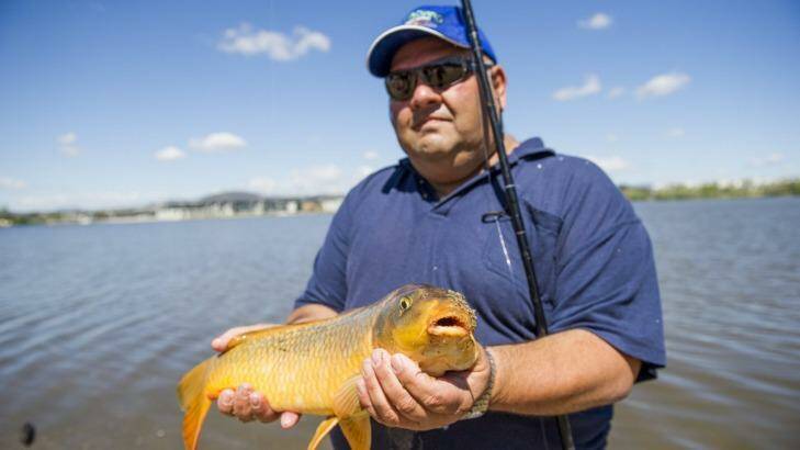 Charlie Diedo has caught and released hundreds of carp in Lake Burley Griffin. Photo: Jay Cronan
