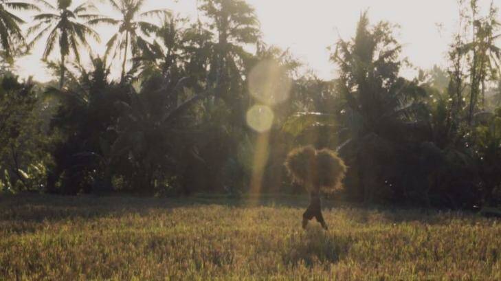 Rice farmers in Bali are using organic techniques to increase their yields. Photo: @markorandelovic
