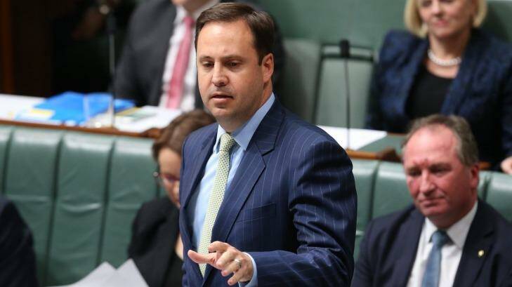 Trade Minister Steve Ciobo claims One Nation is more economically responsible than Labor. Photo: Andrew Meares