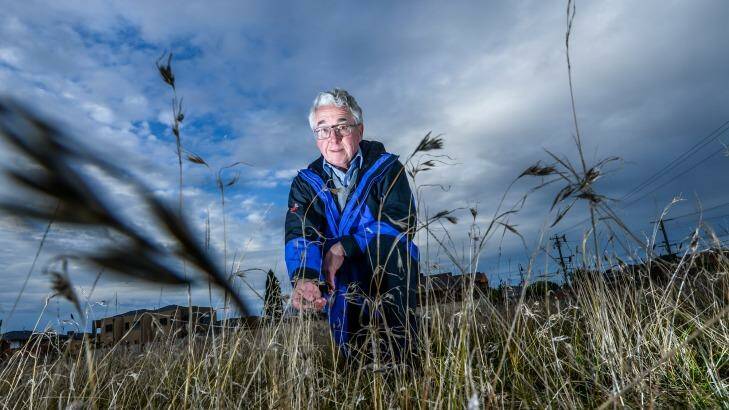 Ecologist Mark McDonnell has warned that Melbourne is at risk of losing more than half its native plants species in the next century. Photo: Justin McManus