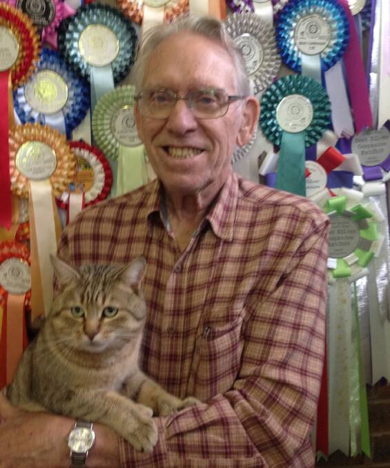 Feline lucky: Terry Goulden with his show entry, a polydactyl Pixie-bob called Pixieroo Adonis.