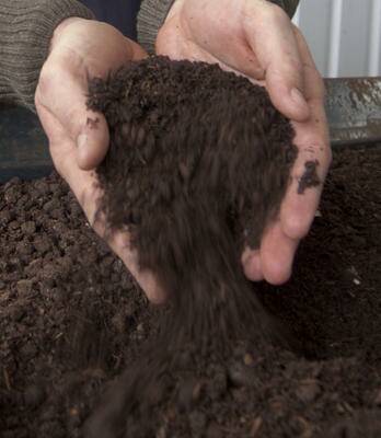 Master all there is to know about soil