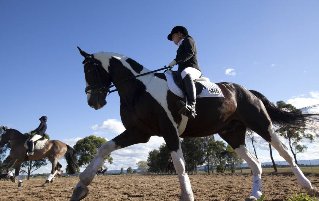 Best dressed: Riders from across the state are expected to flock to Hawkesbury Showground for Dressage NSW’s Clarendon Winter Festival, which runs from this Friday, July 11 to Sunday, July 13. Pictured is Jayna Prell on Kilfeera Shaman at the June competition. Picture: Geoff Jones