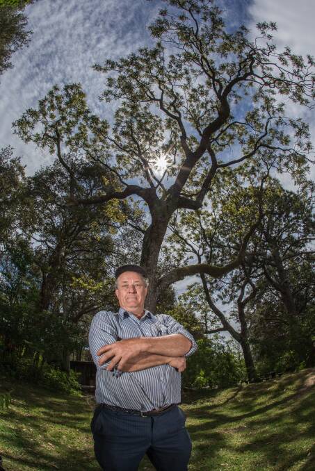 Magnificent obsession: Joe Friend has been recognised for his historical research into the red cedar tree. Picture: Geoff Jones