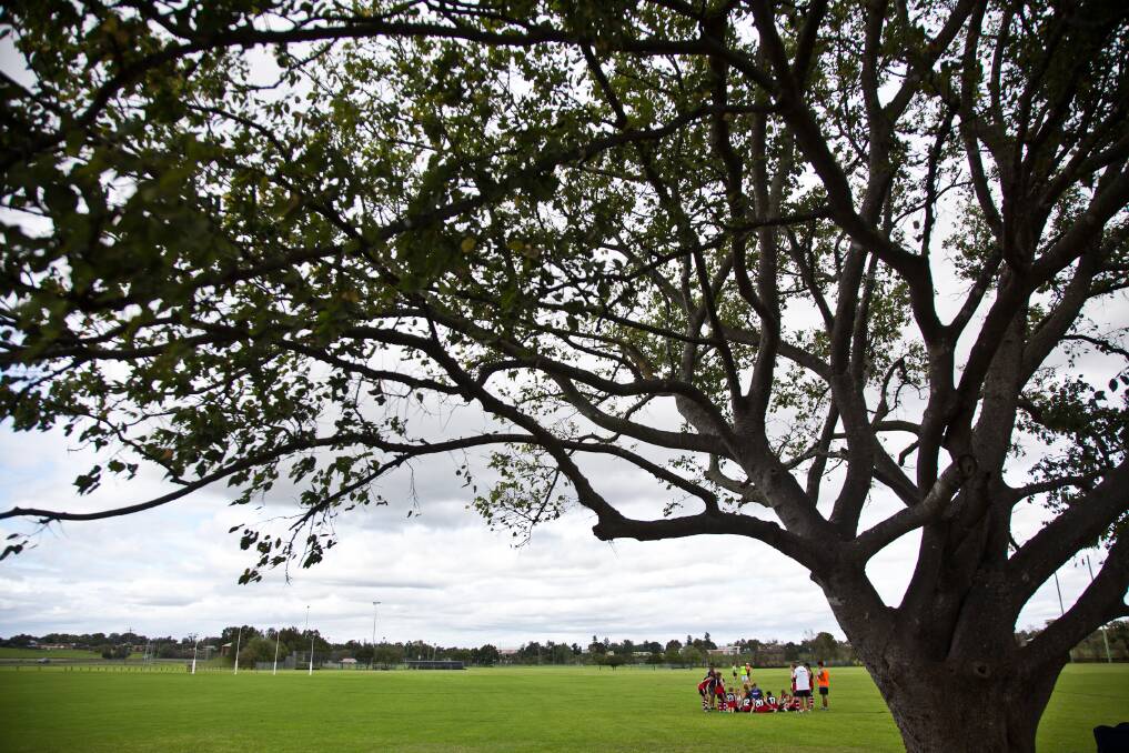Hawkesbury Saints AFL U14's V Campbelltown at Bensons LanApril 6 2014. Photo: Geoff Jones