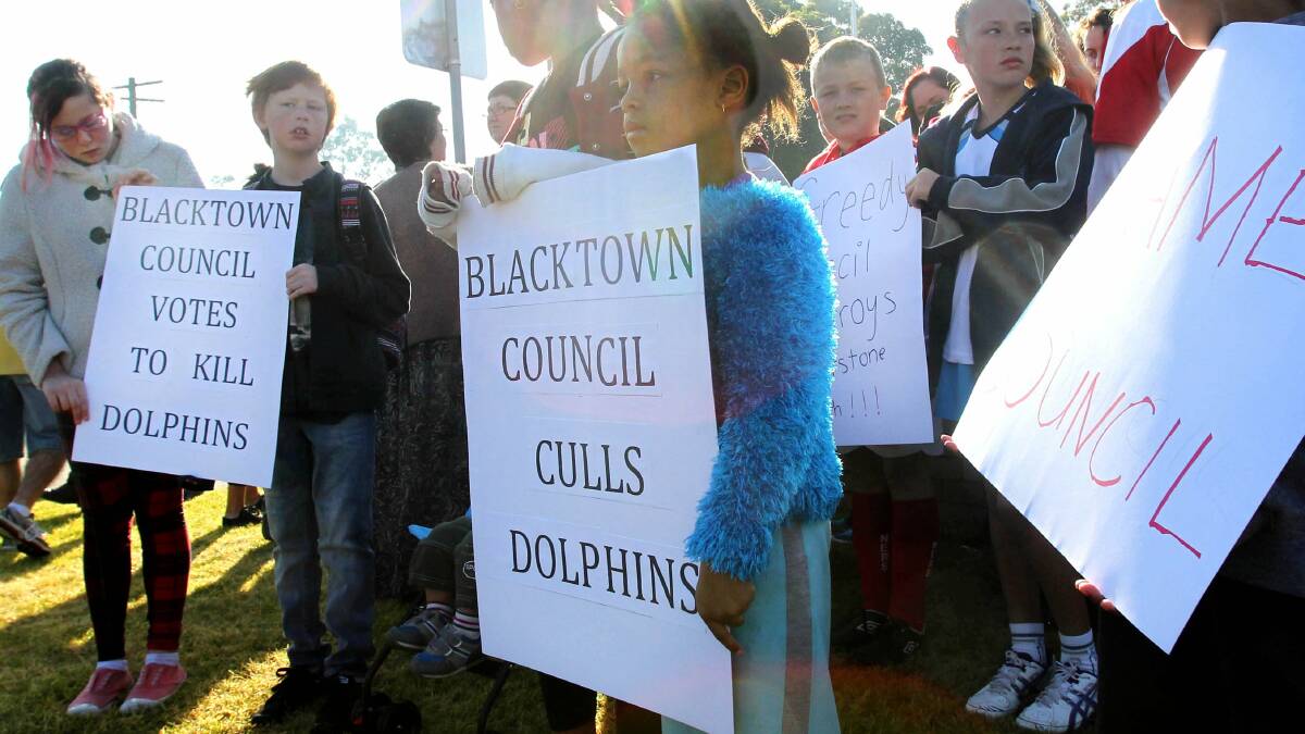 Riverstone Dolphin RSL youth swim club members aren't happy about a proposed pool fee increase. Picture: Helen Nezdropa