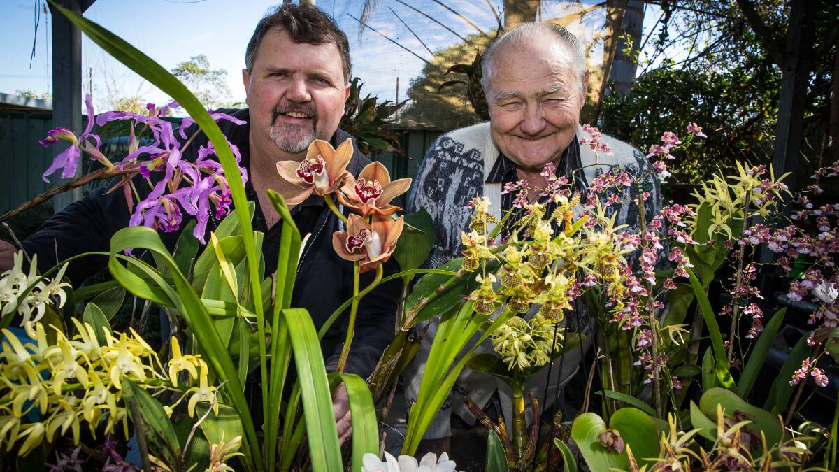 Orchid growers and judges Craig and Graeme Scott-Harden. Picture: Geoff Jones