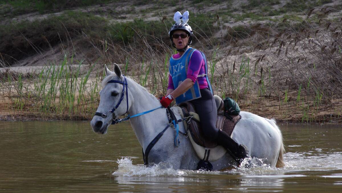 Wet feet: Carol Major from Agnes Banks rides Saradon across the swollen Macdonald River on dress-up day, placing third in the Middleweight division. Picture: Animal Focus