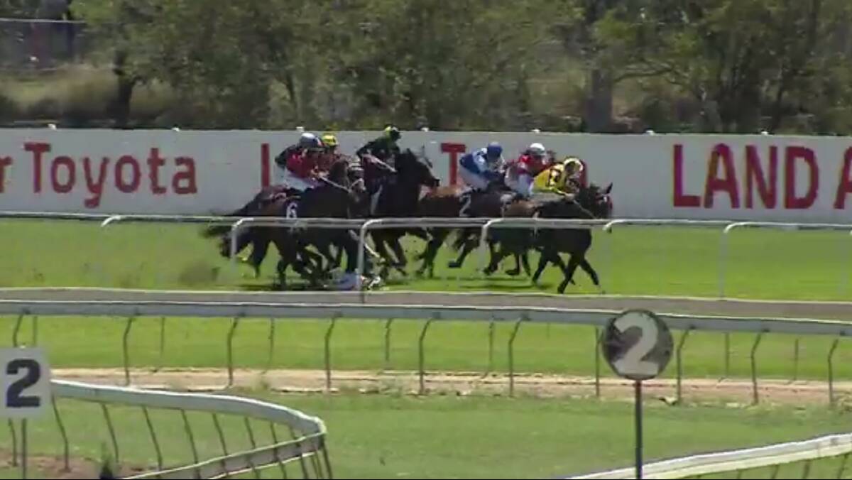 NASTY FALL: Race One at Hawkesbury today saw jockey Blake Spriggs fall off five-year-old mare Minute Silence.
