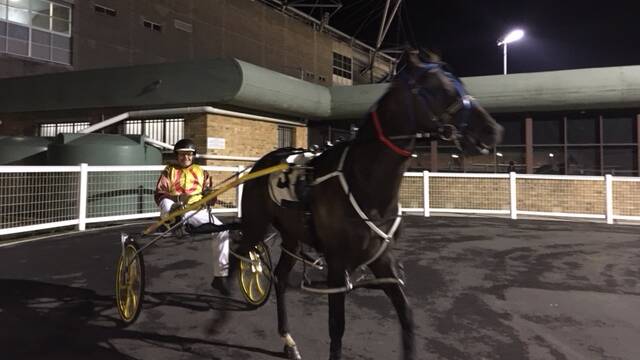 David Lindon is a hobby harness racing driver and trainer. Picture: Supplied