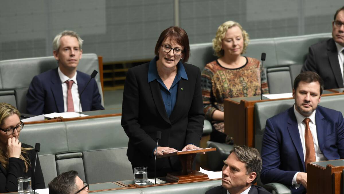 Susan Templeman in the House of Representatives. Picture: Michael Masters