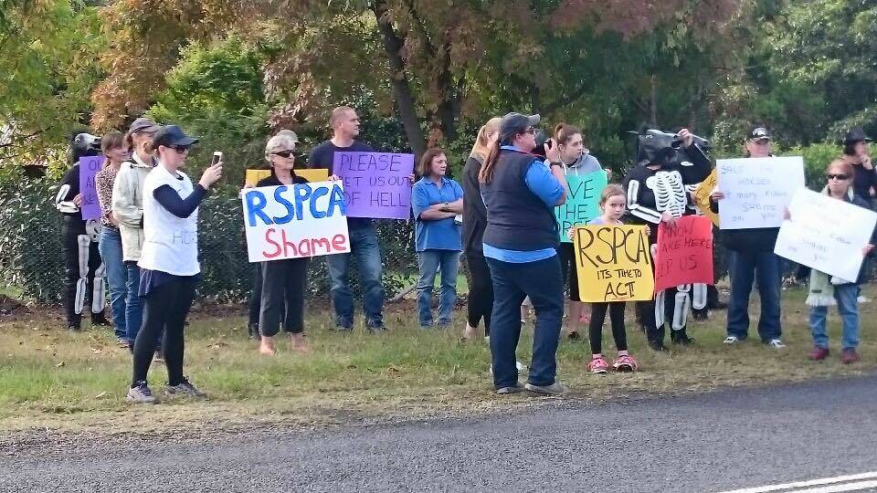 A picture from the rally on Blaxlands Ridge Road. Picture: Supplied