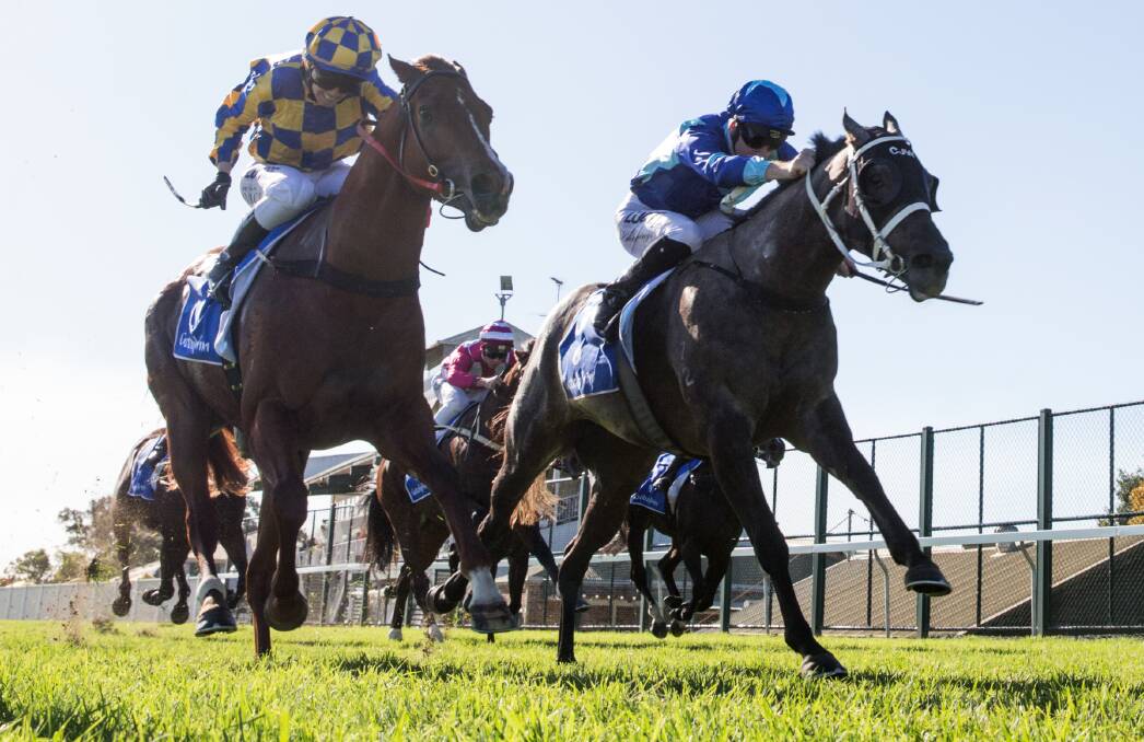 NOSE IN IT: Jess Taylor and Scott Singleton-trained Adjective are pipped at the line by Rory Hutchings and Navua Mist at the Hawkesbury Race Club. Picture: Geoff Jones