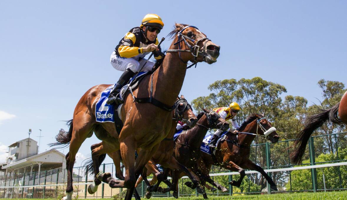 RUNNING WELL: The Hawkesbury Race Club is running nicely, and was able to up the prize money of its two biggest races by $50,000. Picture: Geoff Jones