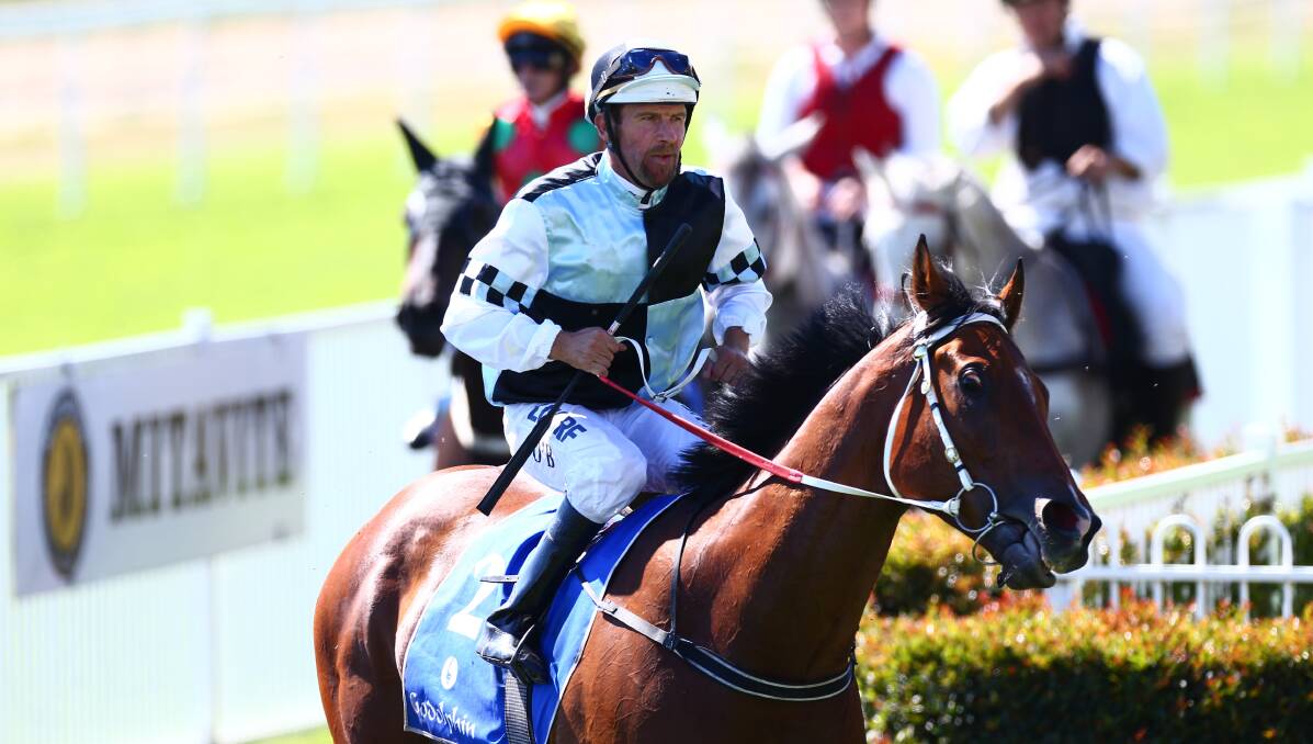 PREPARED: Chris O'Brien leads Invincible George out at the Hawkesbury Race Club last month. Picture: Geoff Jones