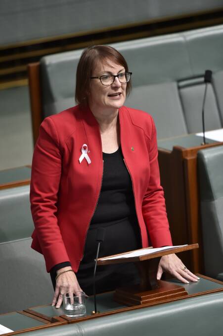 Susan Templeman in Parliament House. Picture: David Foote